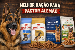 Melhor Ração Para Pastor Alemão