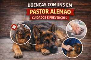 Doenças Comuns em Pastor Alemão Cuidados e Prevenções