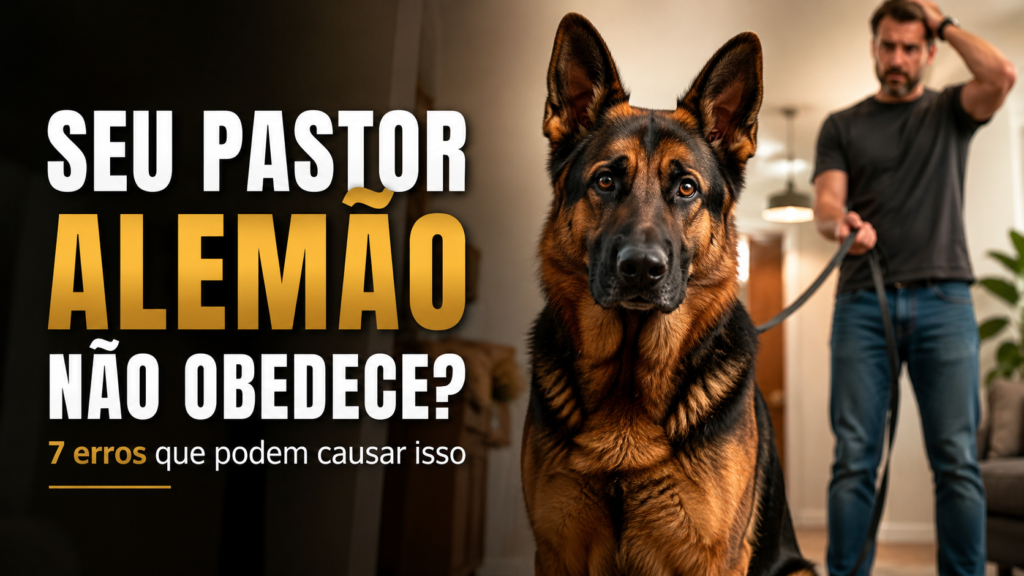 pastor alemão
