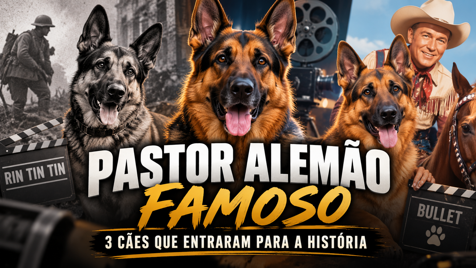 Pastor Alemão famoso: cães que entraram para a história